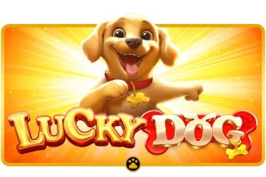 burma99 ပလက်ဖောင်း Mobile APP Slot Games Sportsbook မြန်မာ